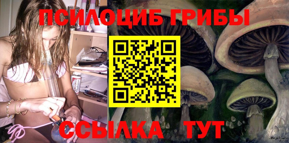 Домодедово  Галлюциногенные грибы MAGIC MUSHROOMS  даркнет сайт  Вход с VPN 