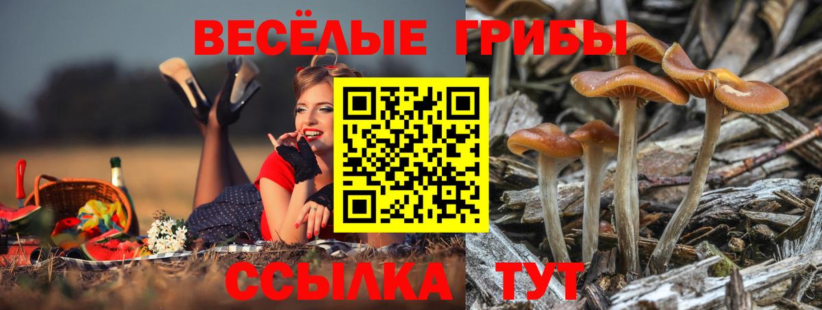 Галлюциногенные грибы мицелий Домодедово